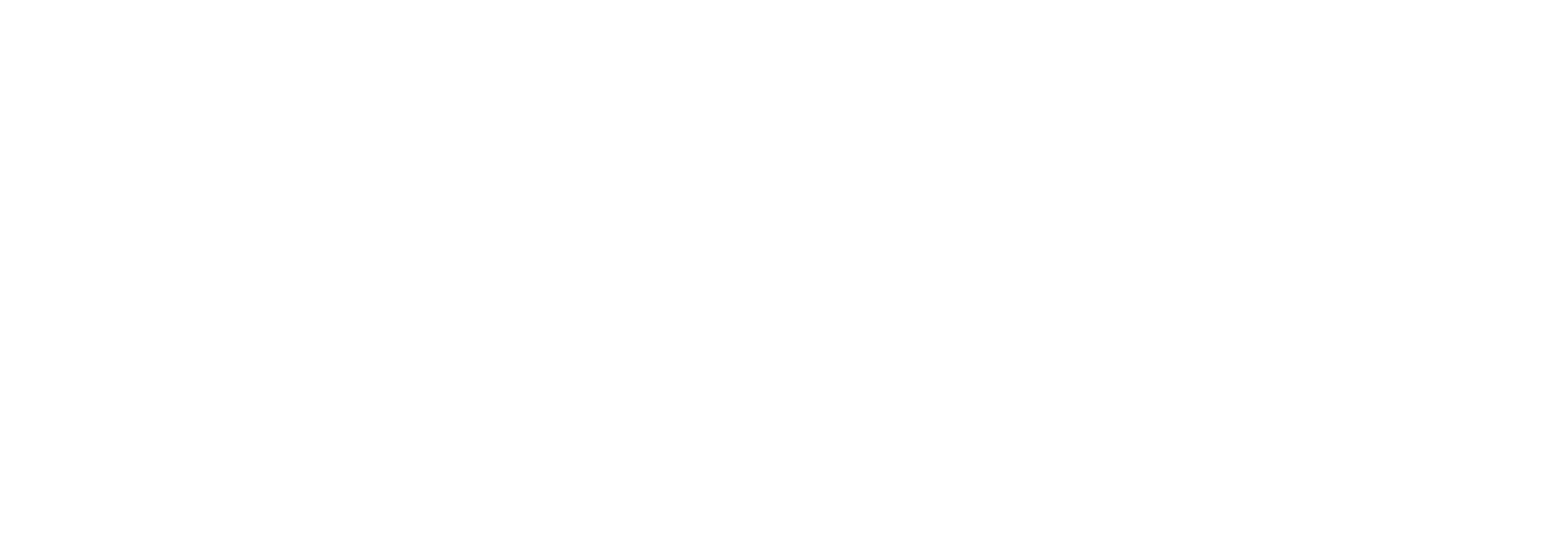 Defence Depot Co logo